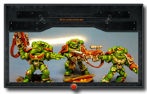 Salamanders